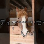 4月30日の門別11R推奨馬 #競馬 #門別競馬