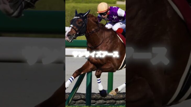 G1天皇賞春の注目馬３頭を紹介＃競馬＃競馬予想＃ヘデントール＃サンライズアース＃ジャスティンパレス