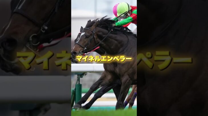 G1天皇賞春の穴馬を３頭紹介＃競馬＃競馬予想＃ビザンチンドリーム＃ブローザホーン＃マイネルエンペラー