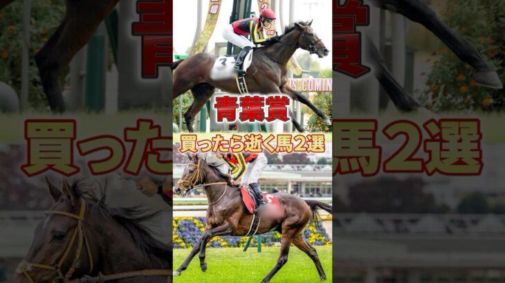 【GⅡ青葉賞】この2頭は堅いと思うんだけどなあ #競馬 #競馬予想 #青葉賞 #shorts #モレイラ