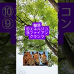 G2青葉賞2025競馬予想 #青葉賞 #競馬予想 #shorts