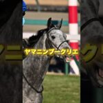 G2青葉賞の穴馬3頭を紹介＃競馬＃競馬予想＃ガルダイア＃マテンロウバローズ＃ヤマニンブークリエ