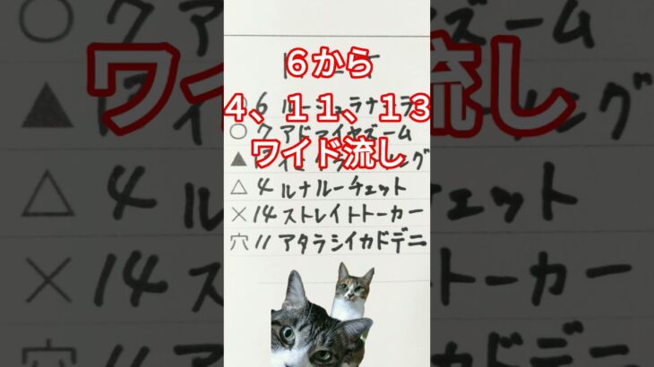 NZT予想　#NZT　#ニュージーランドトロフィー　#競馬　#競馬予想　#中央競馬　#中央競馬予想　#JRA
