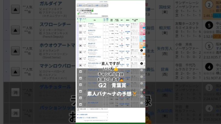 #edm #music #party #turnupthenight #競馬予想 #競馬 #素人#東京競馬場 #G2#バナ〜ナ#青葉賞