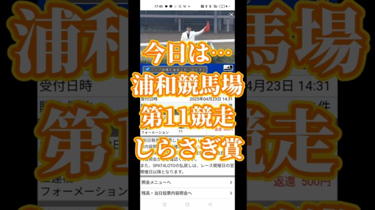 #しらさぎ賞 #excel #競馬予想 #全馬券対応型予想家　#元・独自指数予想家 #チャンネル登録お願いします #高評価お願いします