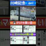 競馬好きマリアの川崎記念予想 果たして結果は？ #競馬 #競馬予想 #地方競馬 #川崎記念 #メイショウハリオ #復活 #g1 #short #shorts #感動 #馬