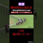 【いつもの】締め切ると当たりすよね。しかも買い目が分かれてる時や資金配分した時は特に… #競馬 #競馬予想 #jra #地方競馬 #ギャンブル #ウマ娘 #ウマ娘プリティーダービー