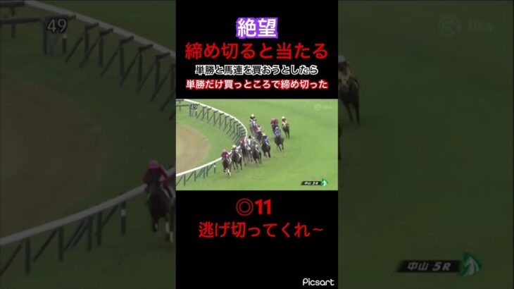 【いつもの】締め切ると当たりすよね。しかも買い目が分かれてる時や資金配分した時は特に… #競馬 #競馬予想 #jra #地方競馬 #ギャンブル #ウマ娘 #ウマ娘プリティーダービー