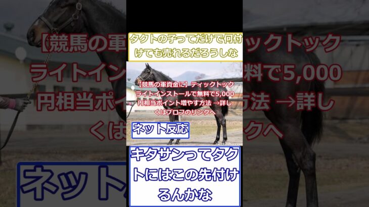 キタサンってタクトにはこの先付けるんかな #競馬 #凱旋門賞 #競馬予想 #中央競馬予想 #ゆっくり解説 #ウマ娘#shorts