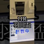 #競馬 #お金 #ギャンブル #払い戻し #tck #競馬予想 #大井競馬 #大井競馬場