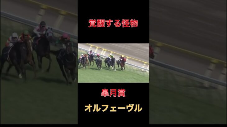 覚醒する怪物オルフェーヴル【皐月賞】#競馬#予想#馬券