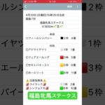 福島牝馬ステークス予想　#競馬予想