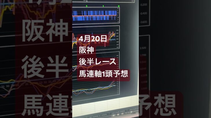 #競馬予想