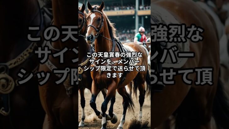 超重要！天皇賞春について。