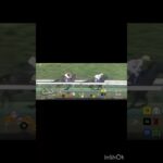 ファウストラーゼンの捲り