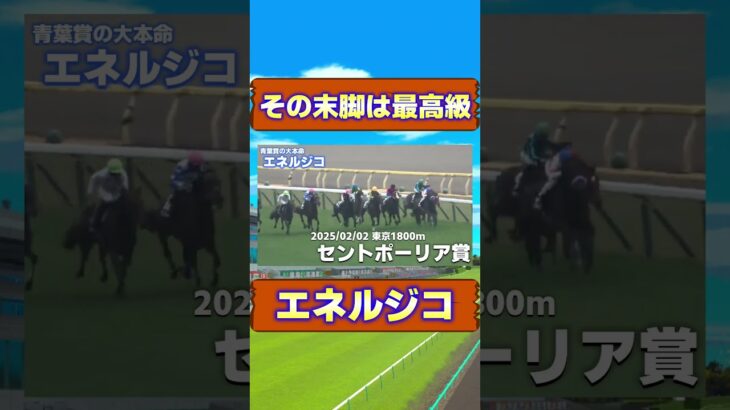 クロワデュノールを倒す可能性大 エネルジコ 　#青葉賞 #競馬 #競馬予想 #クロワデュノール