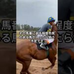 青葉賞について #競馬 #競馬予想