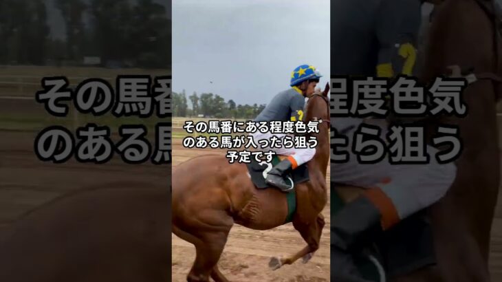 青葉賞について #競馬 #競馬予想