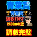 【青葉賞】ダービーまで頂くぜ#フローラステークス #マイラーズカップ #天皇賞春 #競馬 #競馬予想
