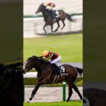 #青葉賞 #競馬予想