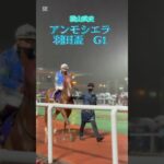 アンモシエラ羽田盃パドック　#アンモシエラ　#羽田盃　#横山武史　#競馬　#競馬予想  #広尾サラブレッド倶楽部　#一口馬主　#川田将雅　#アマンテビアンコ　#シルクホースクラブ  #ナチュラルライズ