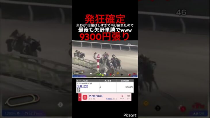【発狂確定】矢野さん1倍の馬飛ばしすぎて叫び疲れました。 #競馬 #競馬予想 #jra #地方競馬 #ウマ娘プリティーダービー #ウマ娘 #ギャンブル依存症 #ギャンブル #大井競馬 #単勝 #武豊