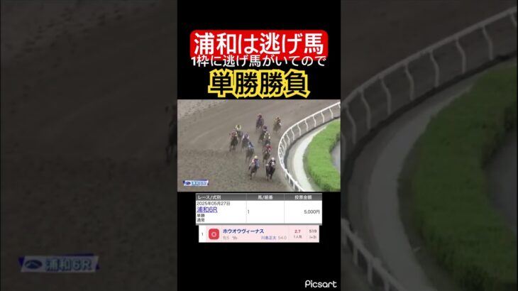 【発狂確定】浦和競馬に1枠の逃げ馬がいたので単勝勝負した結果… #競馬 #競馬予想 #jra #地方競馬 #ウマ娘 #ウマ娘プリティーダービー #ギャンブル #ギャンブル依存症 #武豊 #浦和競馬