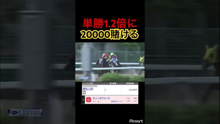 【銀行レース】このレベルの馬は1.2でも美味しいくらいですよ　#競馬 #競馬予想 #jra #地方競馬 #ウマ娘 #ウマ娘プリティーダービー #ギャンブル #ギャンブル依存症 #武豊 #浦和競馬