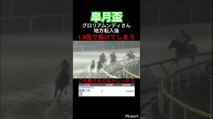 【皐月盃】グロリアムンディさん地方転入後1.3倍で負けてしまう　#競馬 #競馬予想 #jra #地方競馬 #ウマ娘 #ウマ娘プリティーダービー #ギャンブル