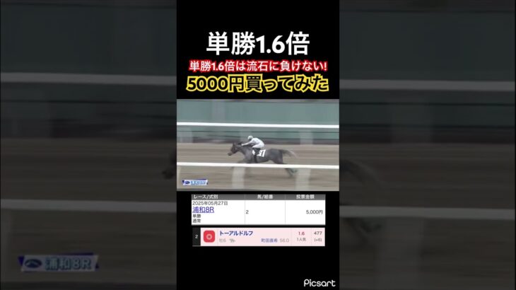 【発狂確定】単勝1.6倍の抜けたは流石に負けないですよね？#競馬 #競馬予想 #jra #地方競馬 #ウマ娘 #ウマ娘プリティーダービー #ギャンブル #ギャンブル依存症 #武豊 #浦和競馬