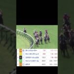 【激絞1点】魂の1点予想！中央競馬で勝ち続ける秘策＆レベルの違いを教えます。#競馬 #競馬予想 #勝負レース