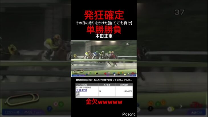 【発狂確定】大井競馬12レース捲れないのに捲ろうとする男　口座の残高がやばい　#競馬予想 #競馬 #jra #ギャンブル #地方競馬 #ウマ娘プリティーダービー #ウマ娘 #地方競馬予想
