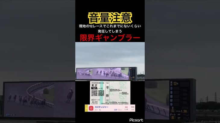 【発狂確定】現地の12レース単勝でこれまでにない発狂を見せてしまう限界ギャンブラー #競馬 #競馬予想 #jra #地方競馬 #ウマ娘 #ウマ娘プリティーダービー #ギャンブル依存症 #ギャンブル