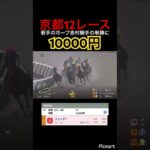 【発狂確定】京都12レースは捲るためにあります。　#競馬 #競馬予想 #jra #ウマ娘 #ウマ娘プリティーダービー #地方競馬 #ギャンブル依存症 #ギャンブル #武豊 #単勝 #勝負