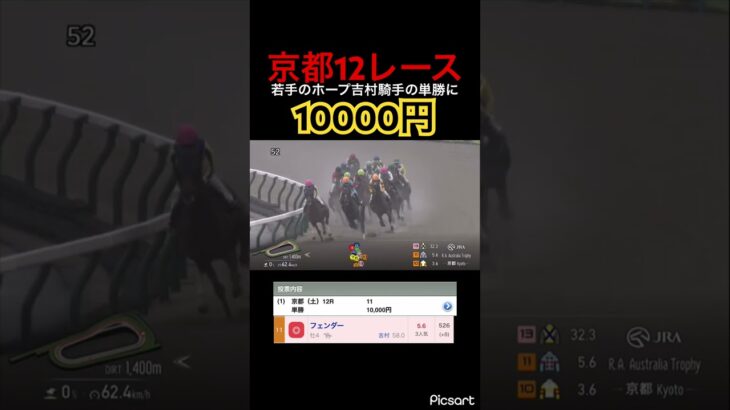 【発狂確定】京都12レースは捲るためにあります。　#競馬 #競馬予想 #jra #ウマ娘 #ウマ娘プリティーダービー #地方競馬 #ギャンブル依存症 #ギャンブル #武豊 #単勝 #勝負