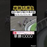 【単勝1万】明らかに強い馬が2倍もついてる瞬間はオッズを見るだけで気持ちがいい　#競馬 #競馬予想 #jra #地方競馬 #ギャンブル依存症 #ギャンブル #ウマ娘 #武豊 #ウマ娘プリティダービー