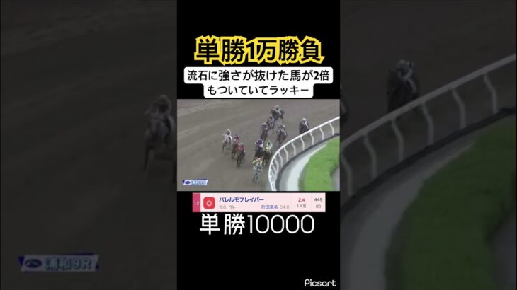 【単勝1万】明らかに強い馬が2倍もついてる瞬間はオッズを見るだけで気持ちがいい　#競馬 #競馬予想 #jra #地方競馬 #ギャンブル依存症 #ギャンブル #ウマ娘 #武豊 #ウマ娘プリティダービー