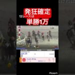 【発狂確定】12レースに単勝1万張りで勝ちを確信！！　#競馬 #競馬予想 #jra #地方競馬 #ウマ娘 #ウマ娘プリティーダービー #ギャンブル #ギャンブル依存症 #大井競馬 #武豊