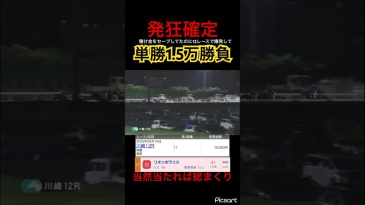 【発狂確定】賭け金セーブしてたのにまくるために12レースで15000円勝負してしまう。 #競馬 #競馬予想 #jra #地方競馬 #ギャンブル #ウマ娘 #ウマ娘プリティーダービー #川崎競馬