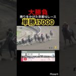 【大勝負】捲りをかけた京都12レースに単勝17000円張り　#競馬#jra #競馬予想 #地方競馬 #ウマ娘プリティーダービー #ウマ娘 #ギャンブル #勝負 #単勝