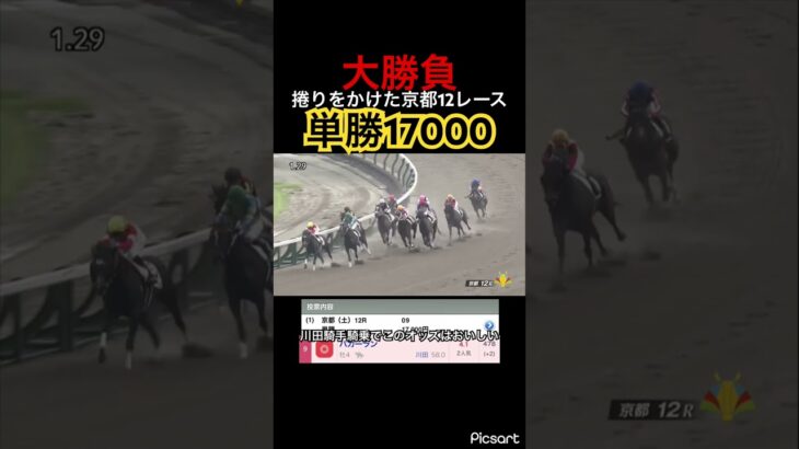 【大勝負】捲りをかけた京都12レースに単勝17000円張り　#競馬#jra #競馬予想 #地方競馬 #ウマ娘プリティーダービー #ウマ娘 #ギャンブル #勝負 #単勝