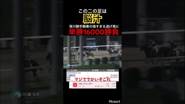 【脳汁】川崎競馬で強すぎる逃げ馬の単勝に16000円の大勝負!!! #競馬 #競馬予想 #地方競馬 #jra #ギャンブル #勝負 #川崎競馬 #ウマ娘 #ウマ娘プリティーダービー