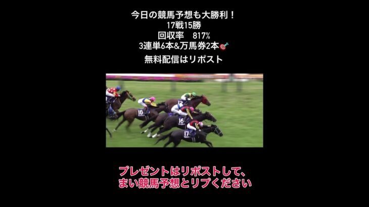 今日の競馬予想も勝ちました！17戦15勝　回収率は817% 明日も勝ちたい人はチェック✅