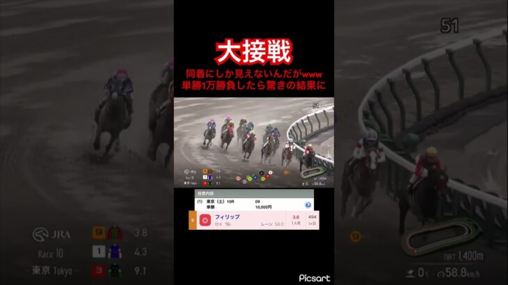 【大接戦】単勝1万勝負した馬が大接戦!!同着だろこれwww #競馬 #競馬予想 #jra #地方競馬 #ギャンブル #ウマ娘プリティーダービー #ウマ娘 #勝負 #単勝 #発狂