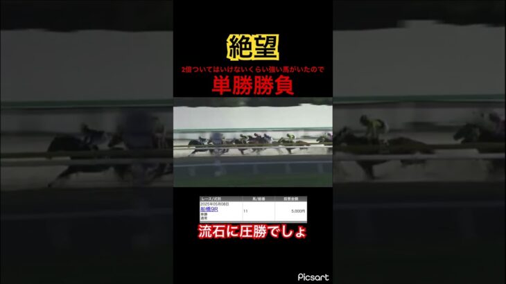 【絶望】2倍付いてはいけないくらい強い馬がいたので単勝買ってみた結果… #競馬 #地方競馬 #競馬予想 #jra #ウマ娘プリティーダービー #ウマ娘 #ギャンブル #船橋競馬
