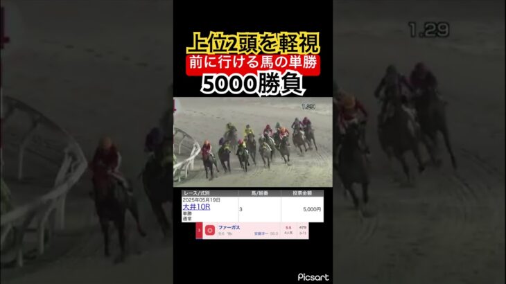【大井競馬】前有利なので後方待機の上位2頭を軽視して単勝勝負した結果… #競馬 #競馬予想 #ウマ娘 #ウマ娘プリティーダービー #jra #地方競馬 #ギャンブル依存症 #ギャンブル #大井競馬