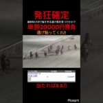 【発狂確定】前有利の大井で逃げ馬の単勝を20000円買った結果… #競馬 #競馬予想 #jra #地方競馬 #ギャンブル #ウマ娘プリティーダービー #ウマ娘 #単勝