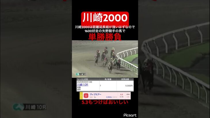 【川崎2000】川崎2000は距離延長組が強いので単勝勝負した結果… #競馬 #競馬予想 #jra #地方競馬 #ギャンブル #川崎競馬 #ウマ娘 #ウマ娘プリティーダービー #発狂 #単勝 #勝負