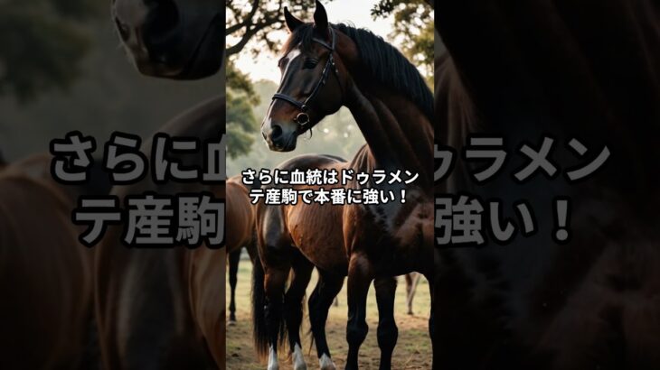 #日本ダービー  #日本ダービー2024  #競馬予想  #競馬  #馬券  #ハイブリッド競馬塾  #ニシヤマ塾長  #馬体診断  #データ分析  #穴馬