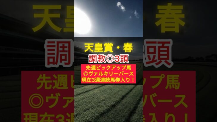 【天皇賞・春2025】混戦模様の長距離戦で仕上がり万全の馬は？ #競馬 #中央競馬予想 #天皇賞春